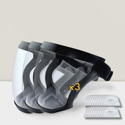 Anti-Dust Face Shield (VIP Link)